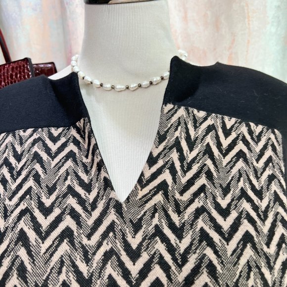 ๐connected Woman Colorblock Sleeveless Plus Size Sheath Dress - Picture 3 of 14